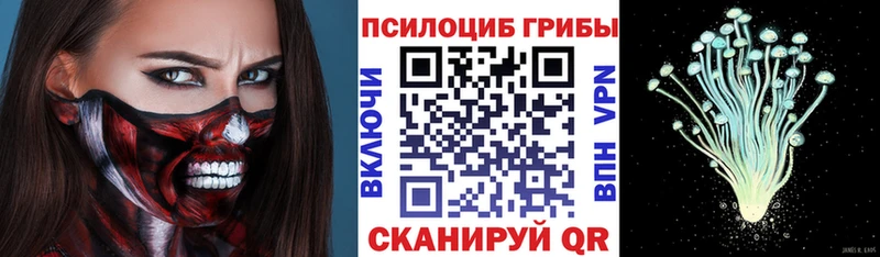 Псилоцибиновые грибы прущие грибы  купить   mega   Ленск 